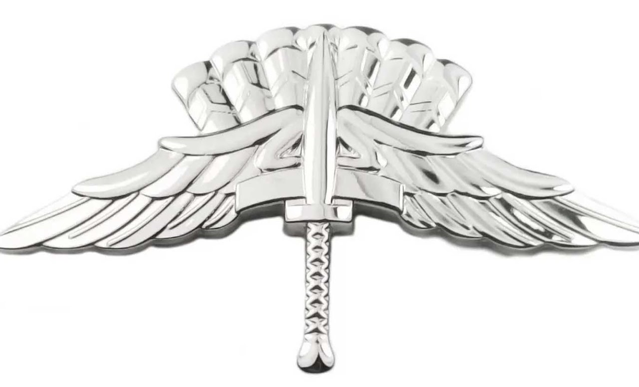 Paracaidista Militar Caida Libre