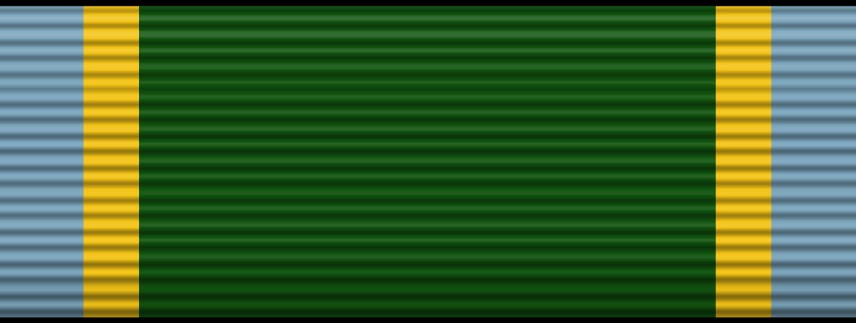 Tirador Experto Fuerza USAF