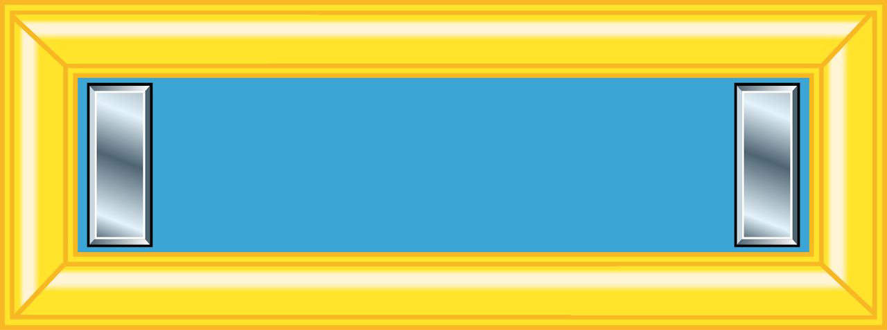 OF2 - First Lieutenant (1LT)